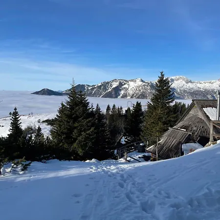 Alpine Velika Planina - Irenca - I Feel Alps * Stahovica