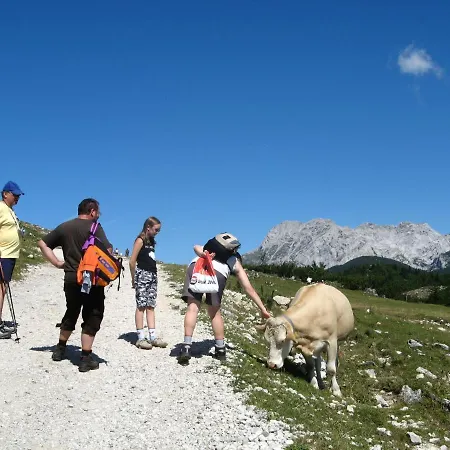 Alpine Velika Planina - Irenca - I Feel Alps Stahovica