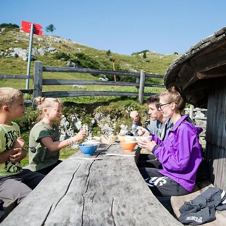 Alpine Velika Planina - Irenca - I Feel Alps *