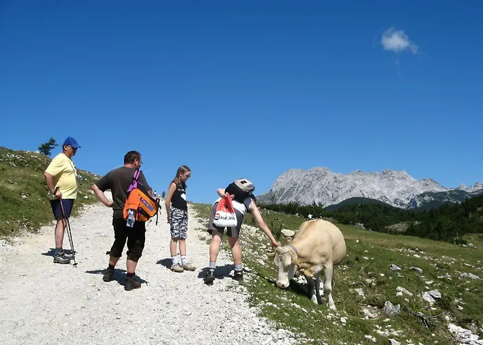 Alpine Velika Planina - Irenca - I Feel Alps Stahovica