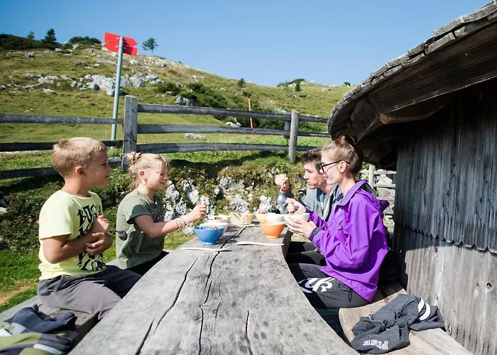 Alpine Velika Planina - Irenca - I Feel Alps *